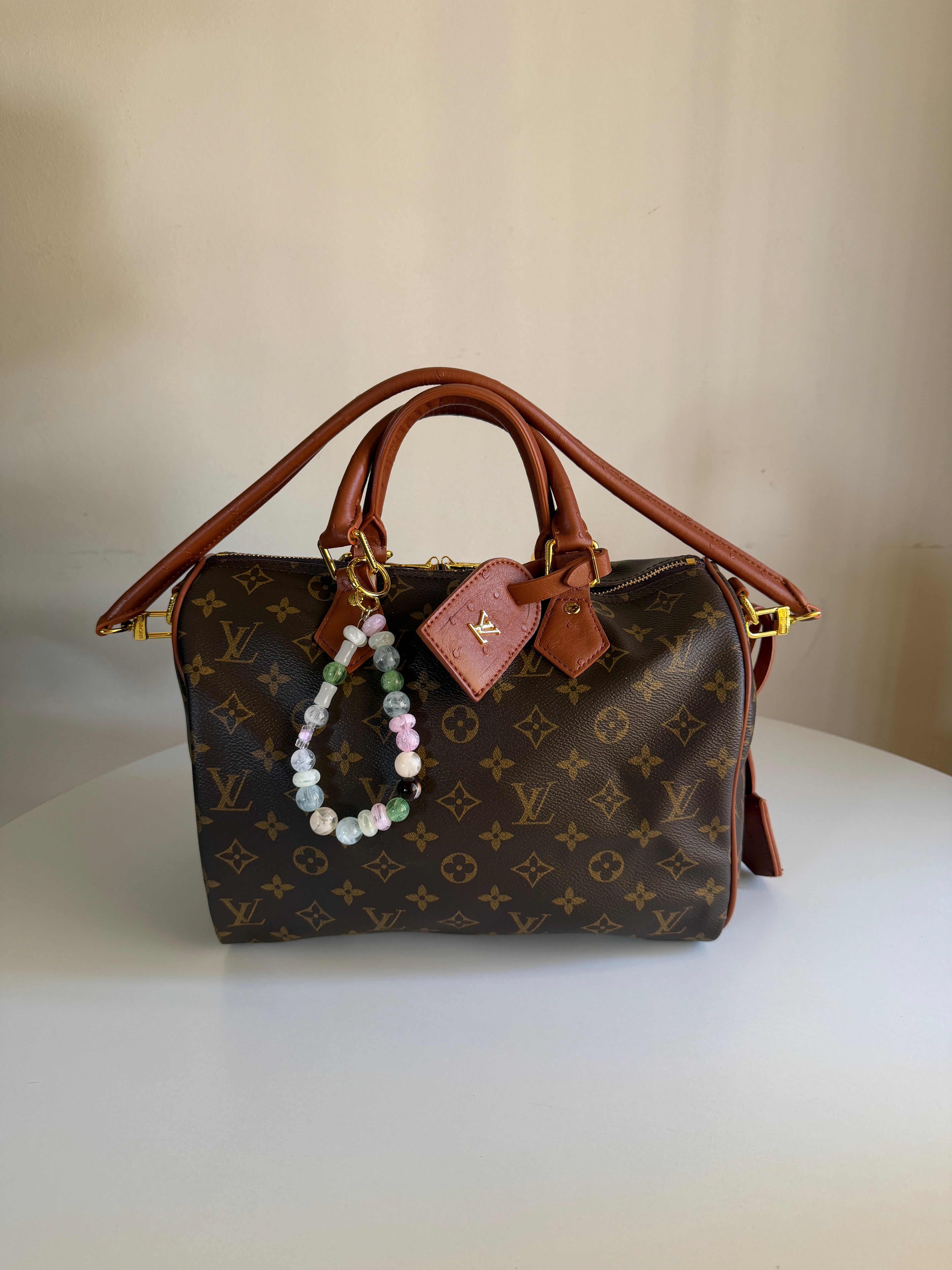 Louis Vuitton Speedy 30 Crafty
