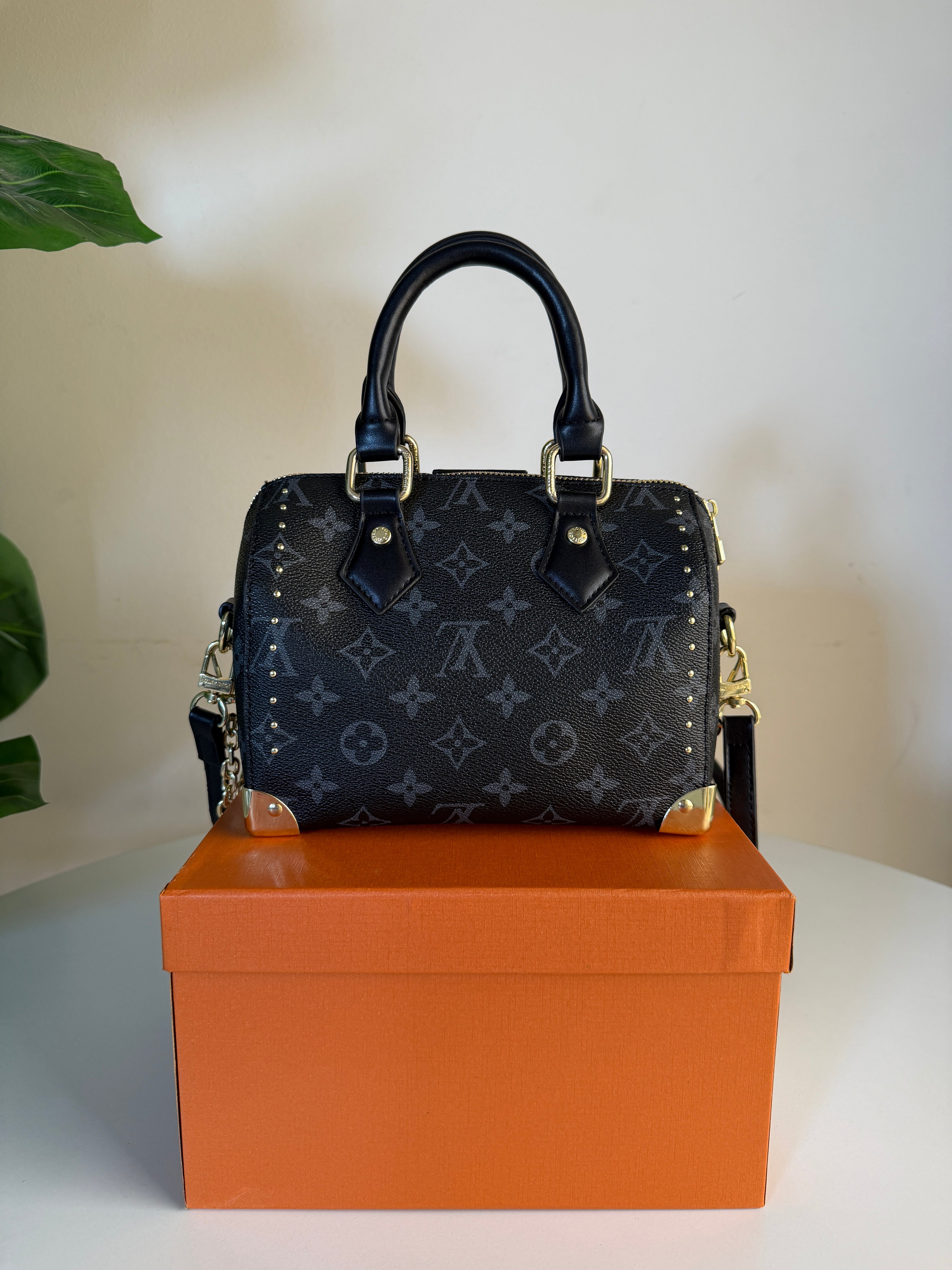 Louis Vuitton speedy trunk 20