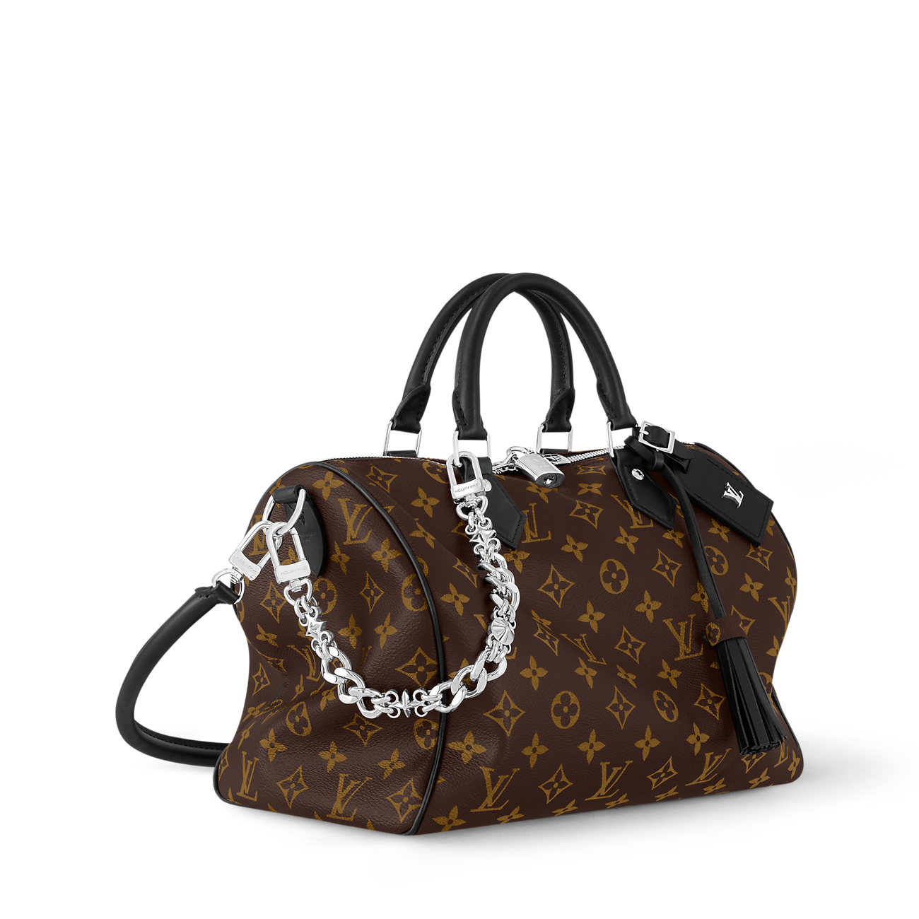 Louis Vuitton Speedy 30 Crafty - black and silver accessories
