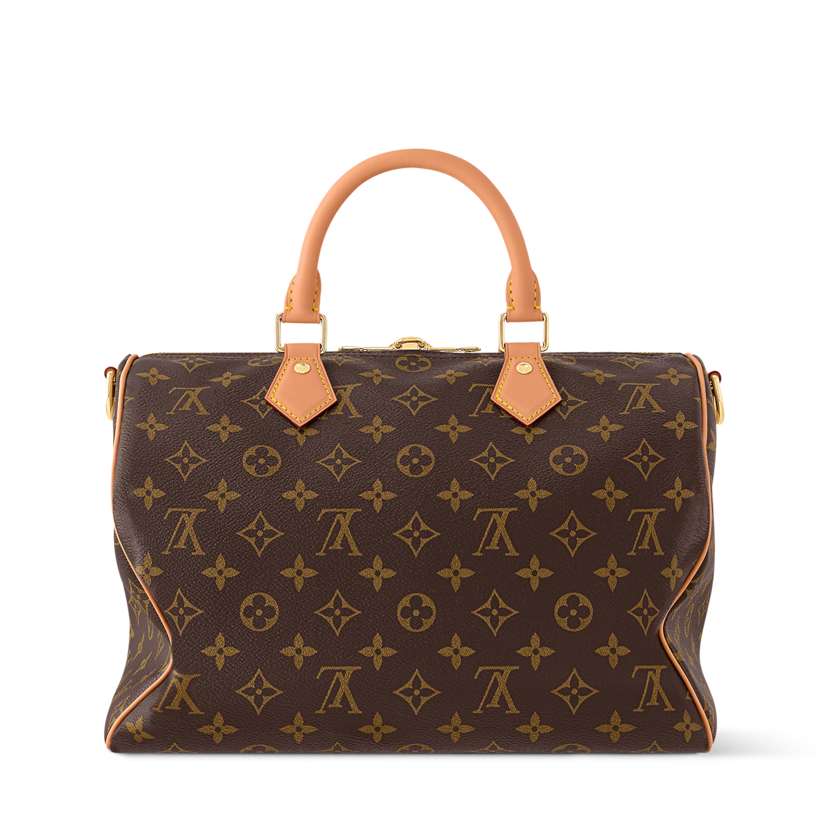 Louis Vuitton Speedy 30 Crafty -metal charm and color pouch