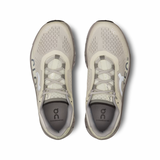 On Running Cloudmonster Ice/Alloy